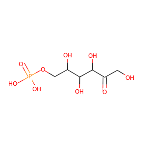 fructose 6-phosphate